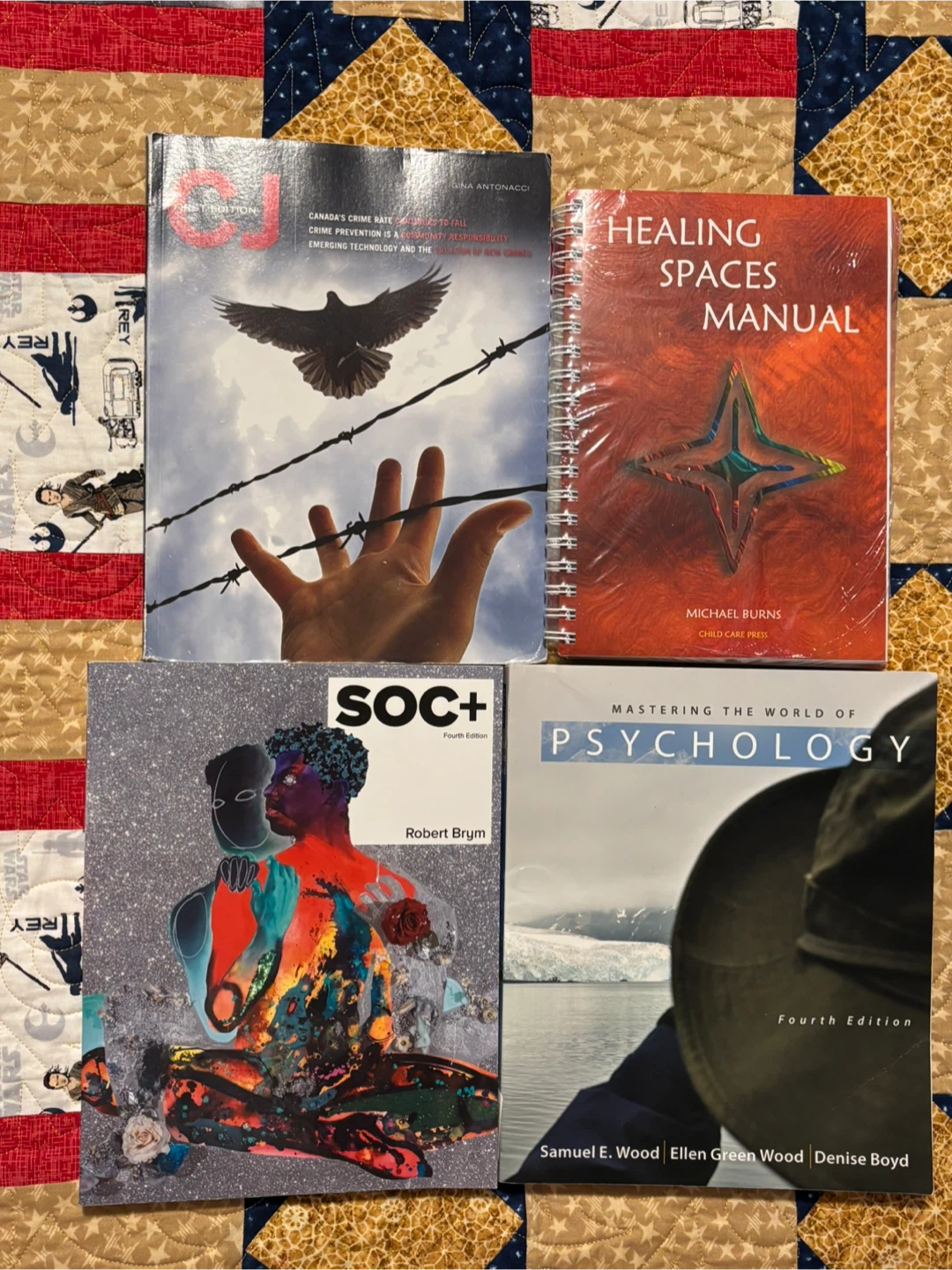 Bundle of 4 Textbooks
