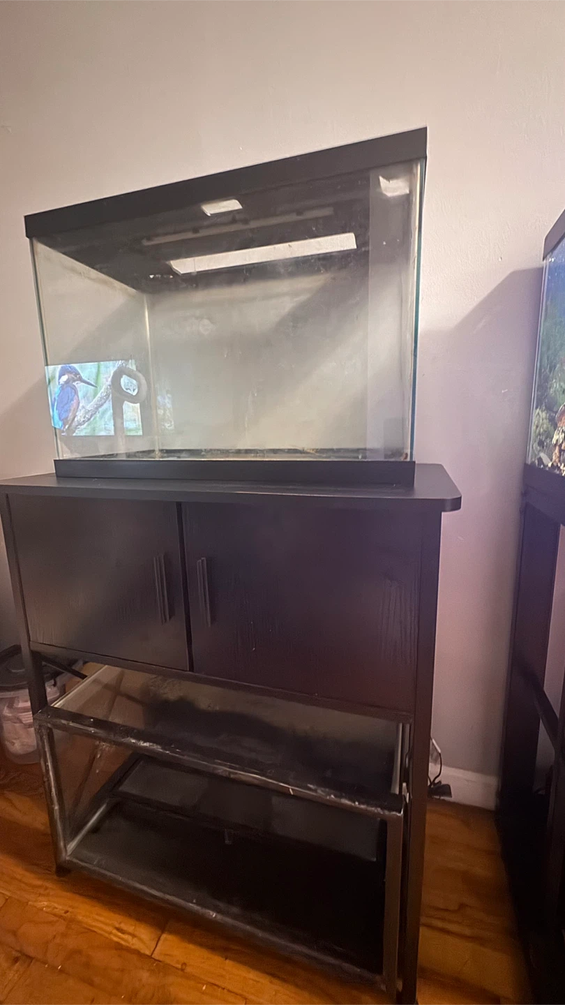 Glass Aquarium Tank with Stand