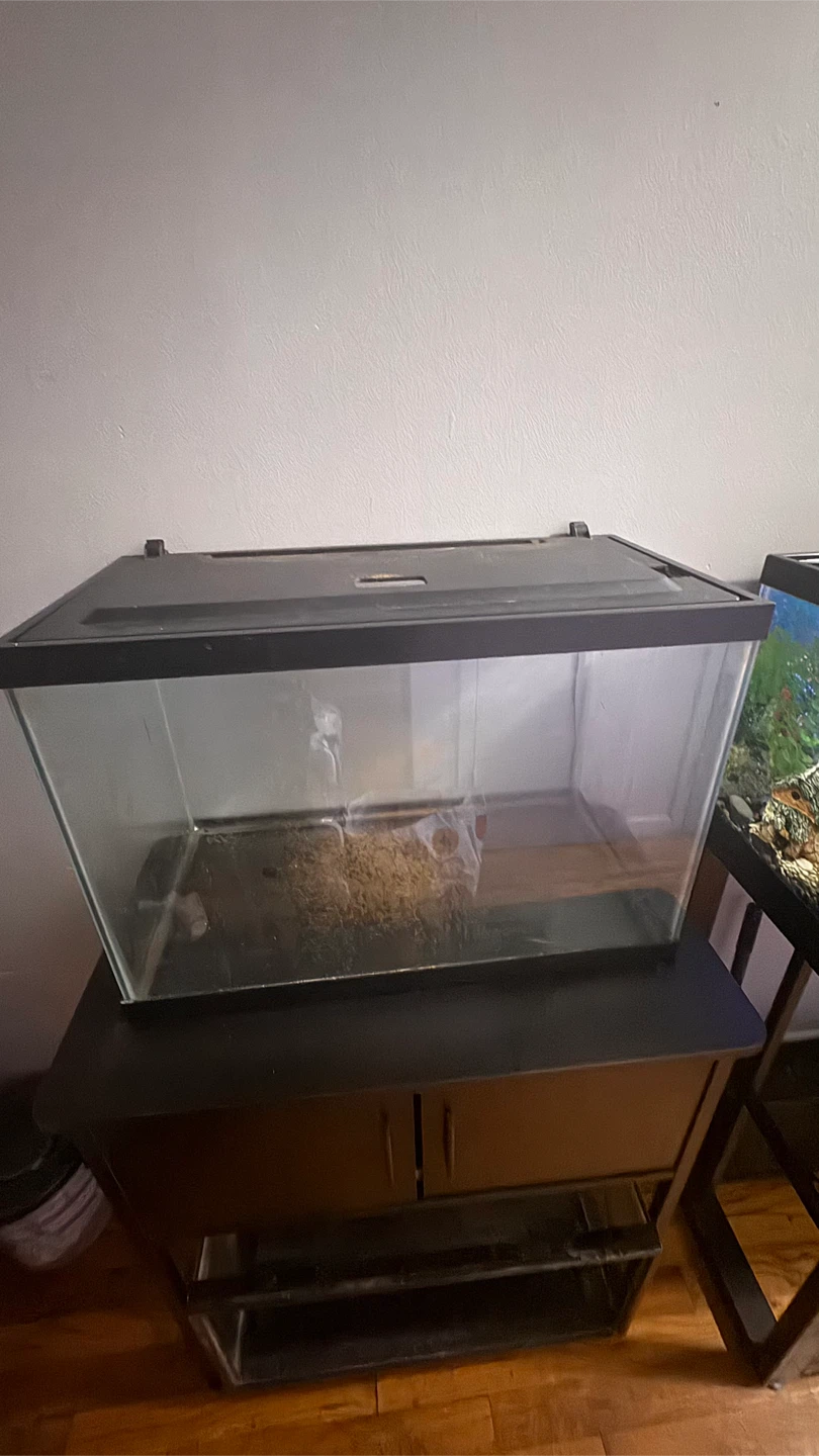 Glass Aquarium Tank with Stand - photo 2