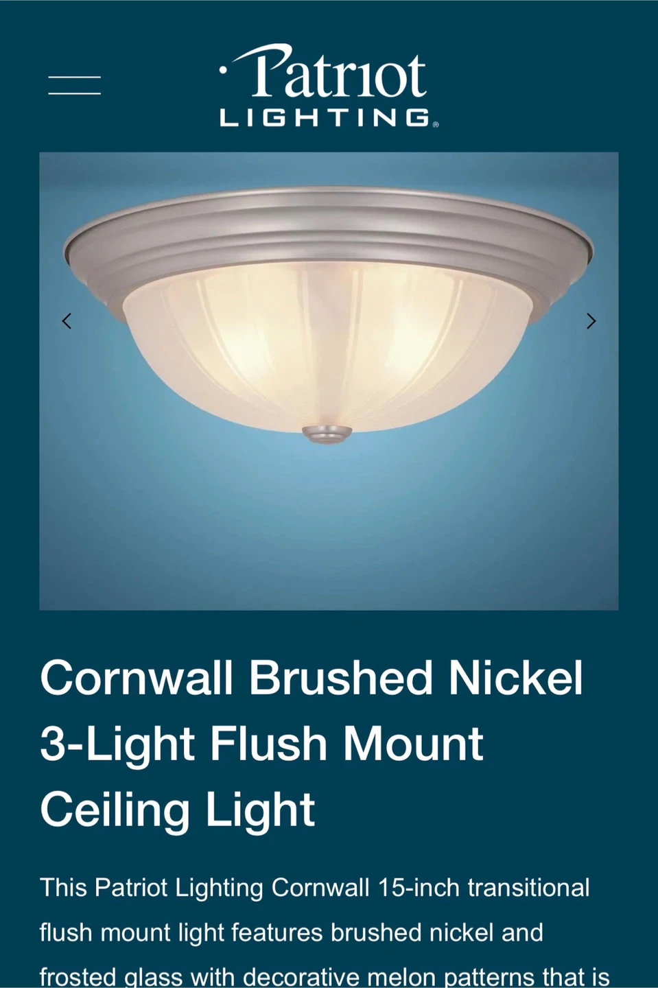 🥕 15" Brushed Nickel Ceiling Light