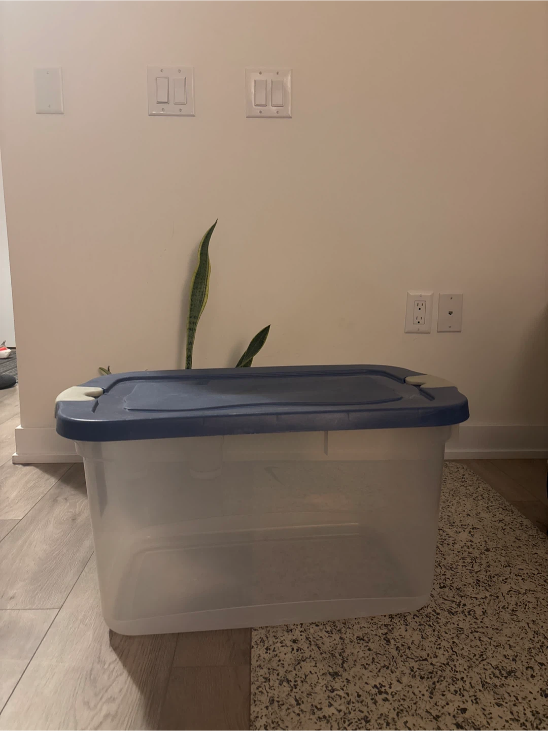 Clear Storage Bin with Blue Lid