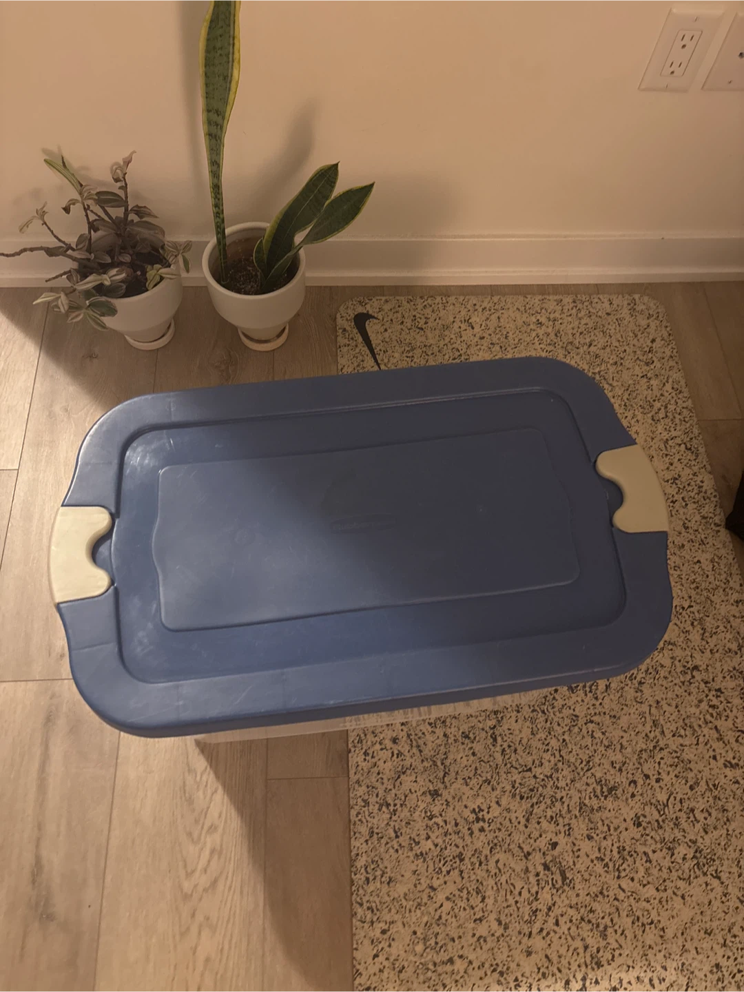 Clear Storage Bin with Blue Lid - photo 2
