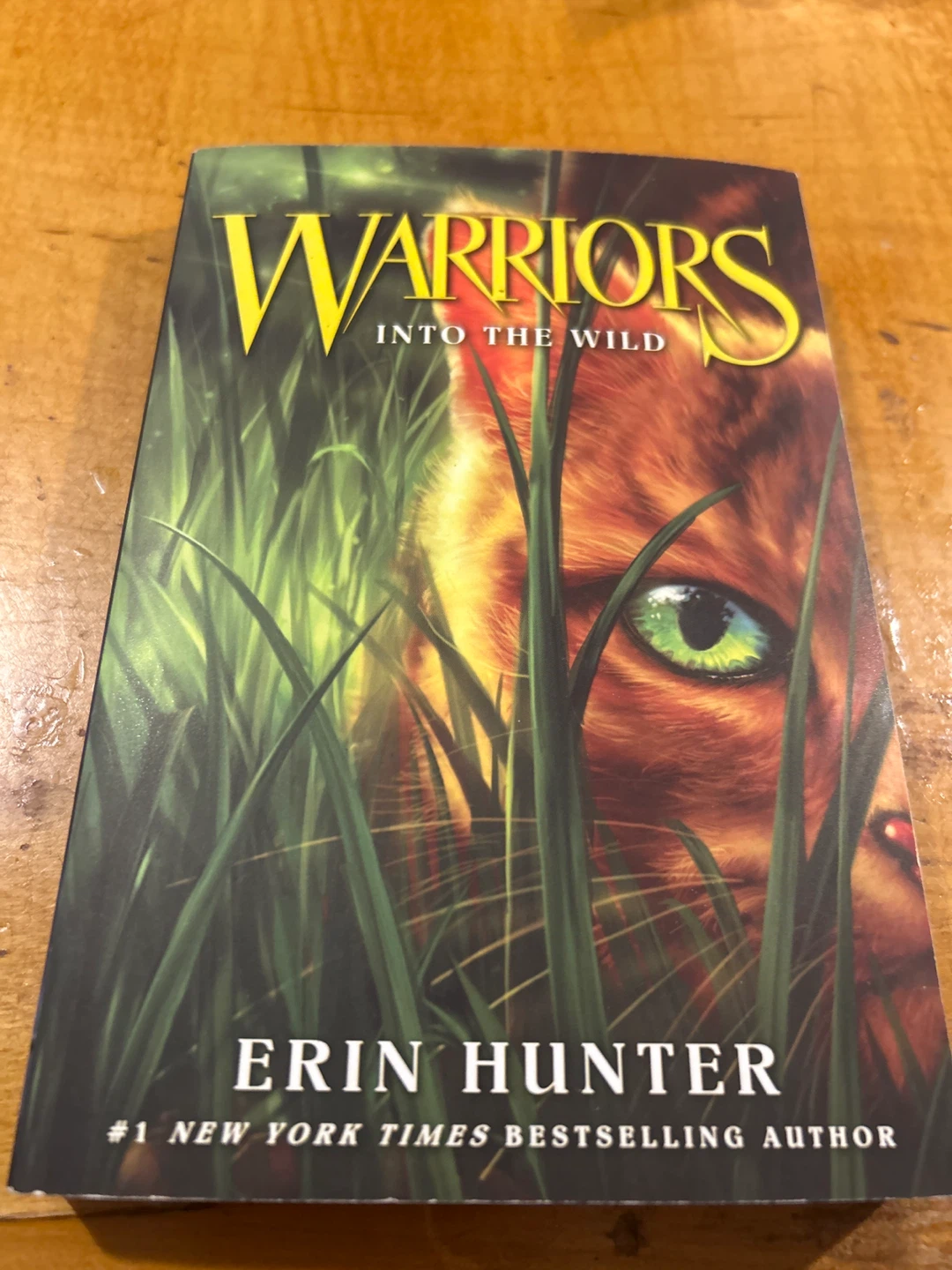 Warriors: Into the Wild by Erin Hunter