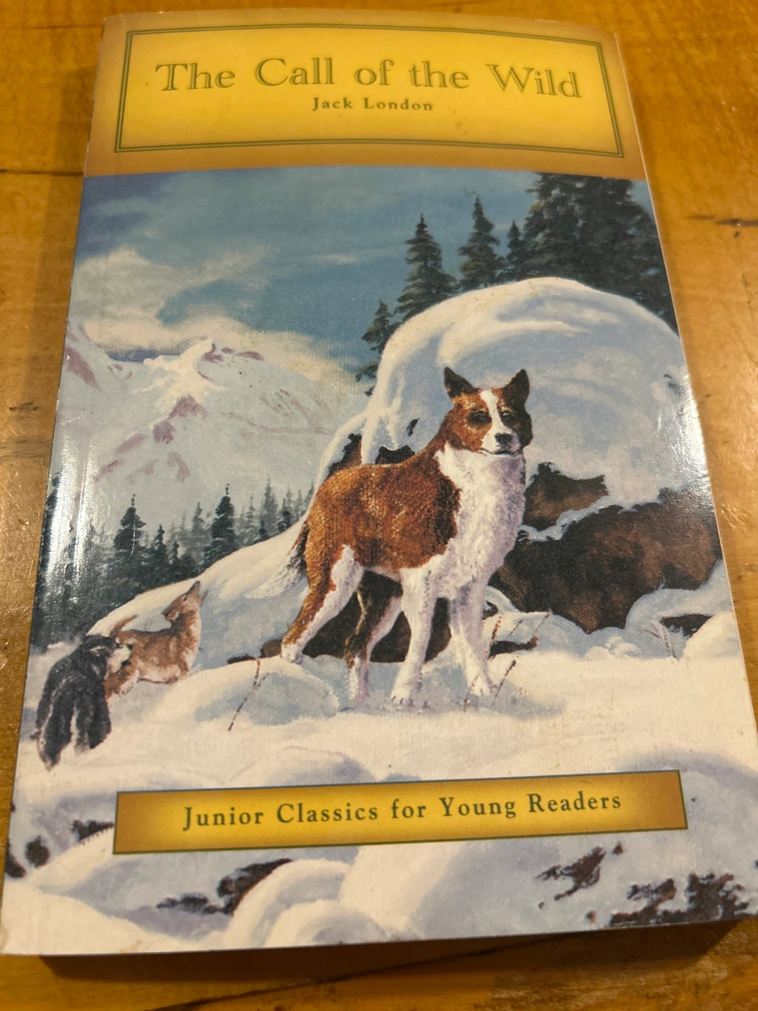 The Call of the Wild by Jack London