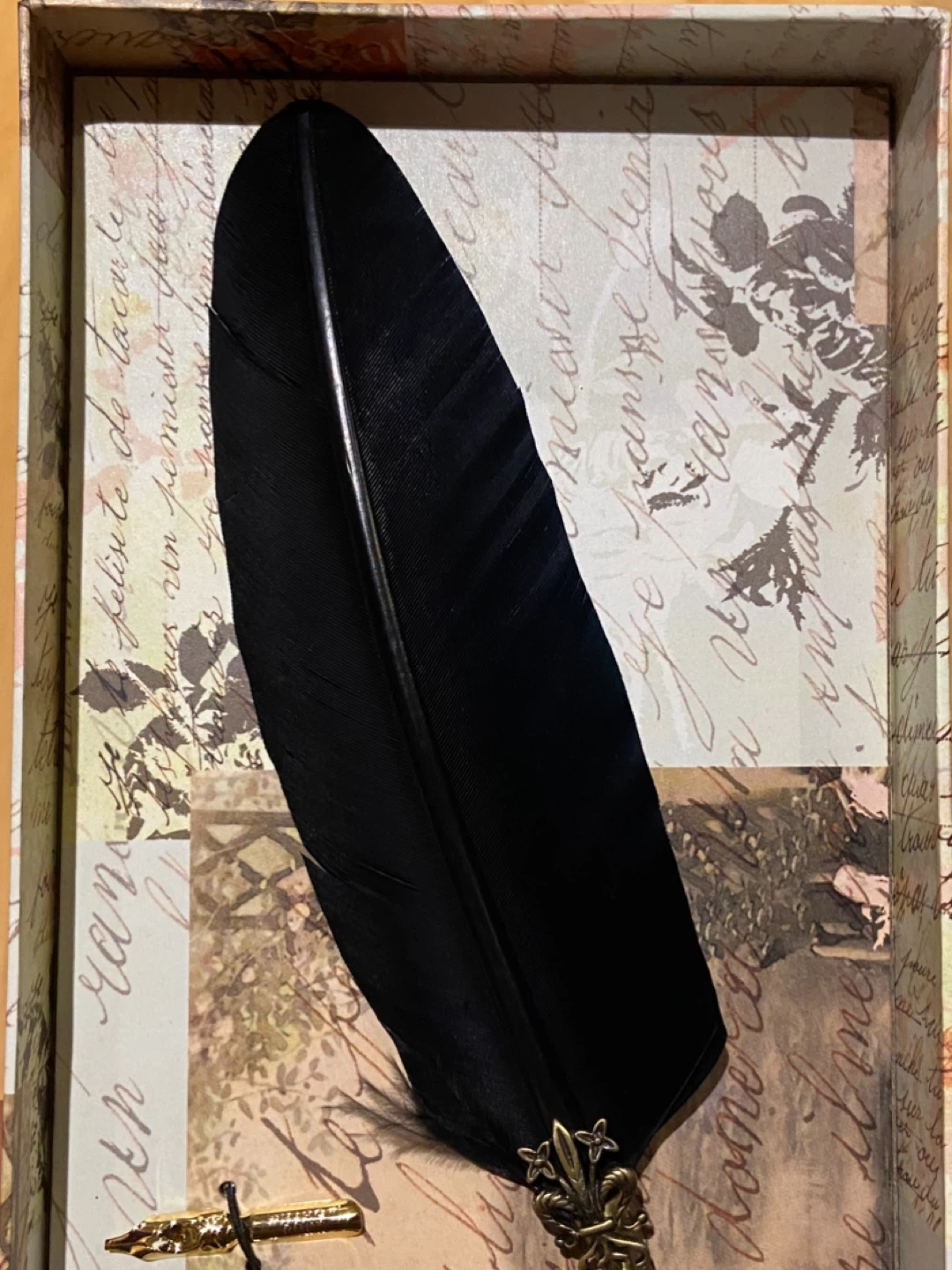 Feather Quill Pen Set with Ink - photo 4