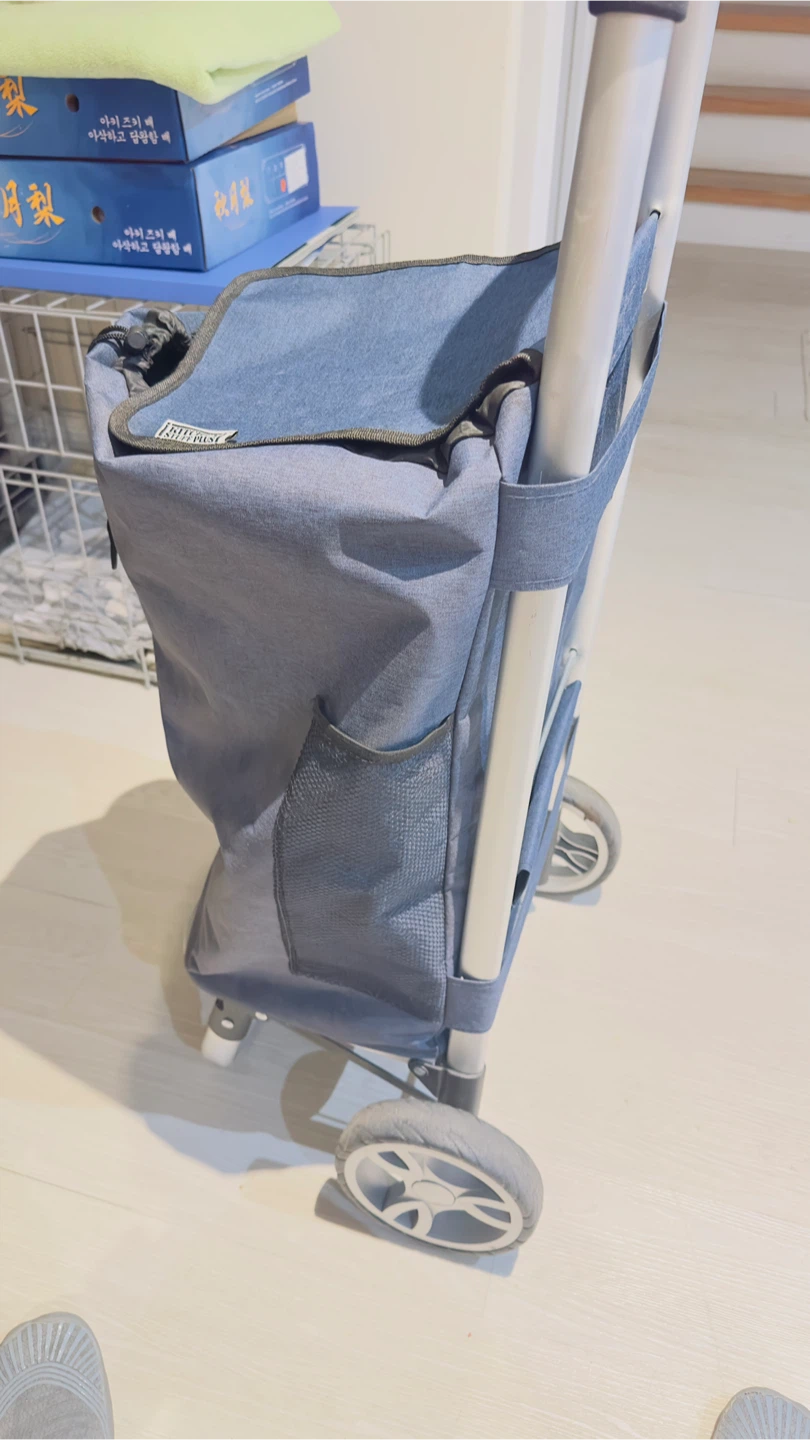 Kitchen Supreme Blue Rolling Shopping Cart - photo 3