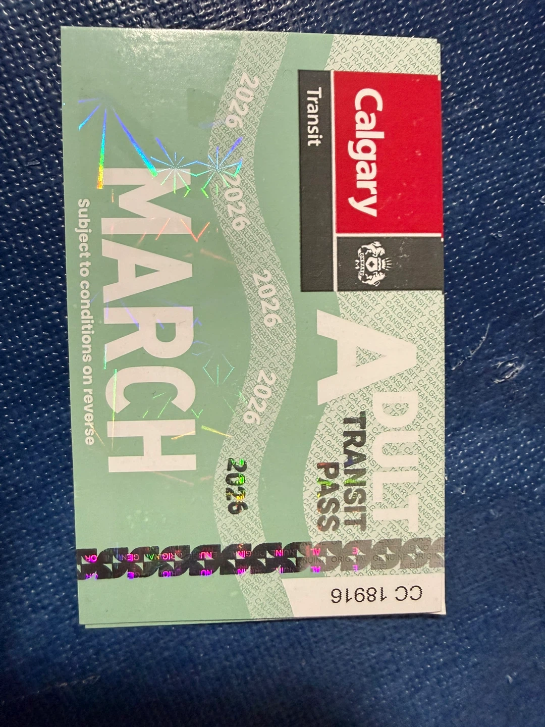 Adult Transit Pass  - March 2026