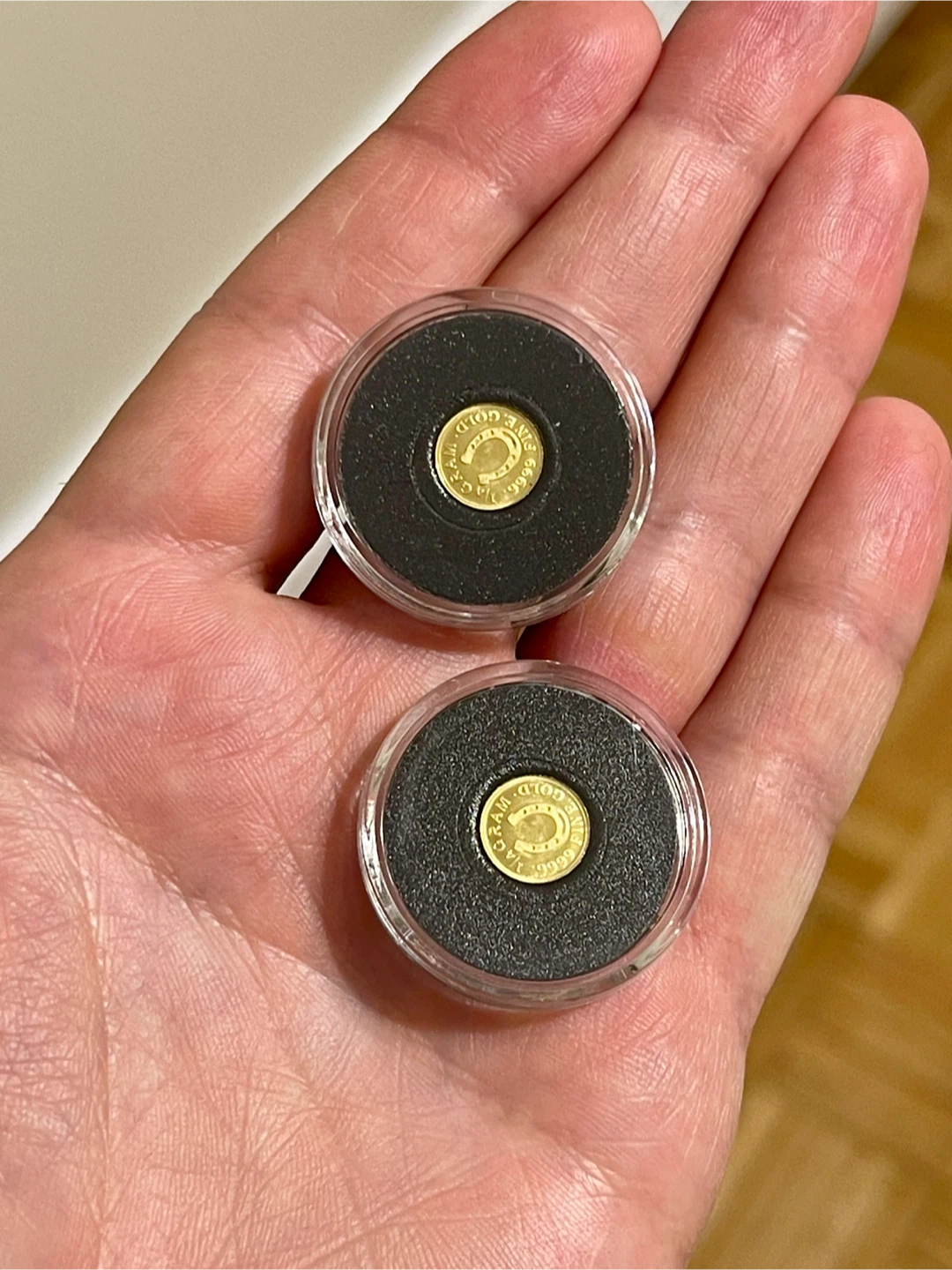 2 Gold Coins - Lucky Horseshoe Design