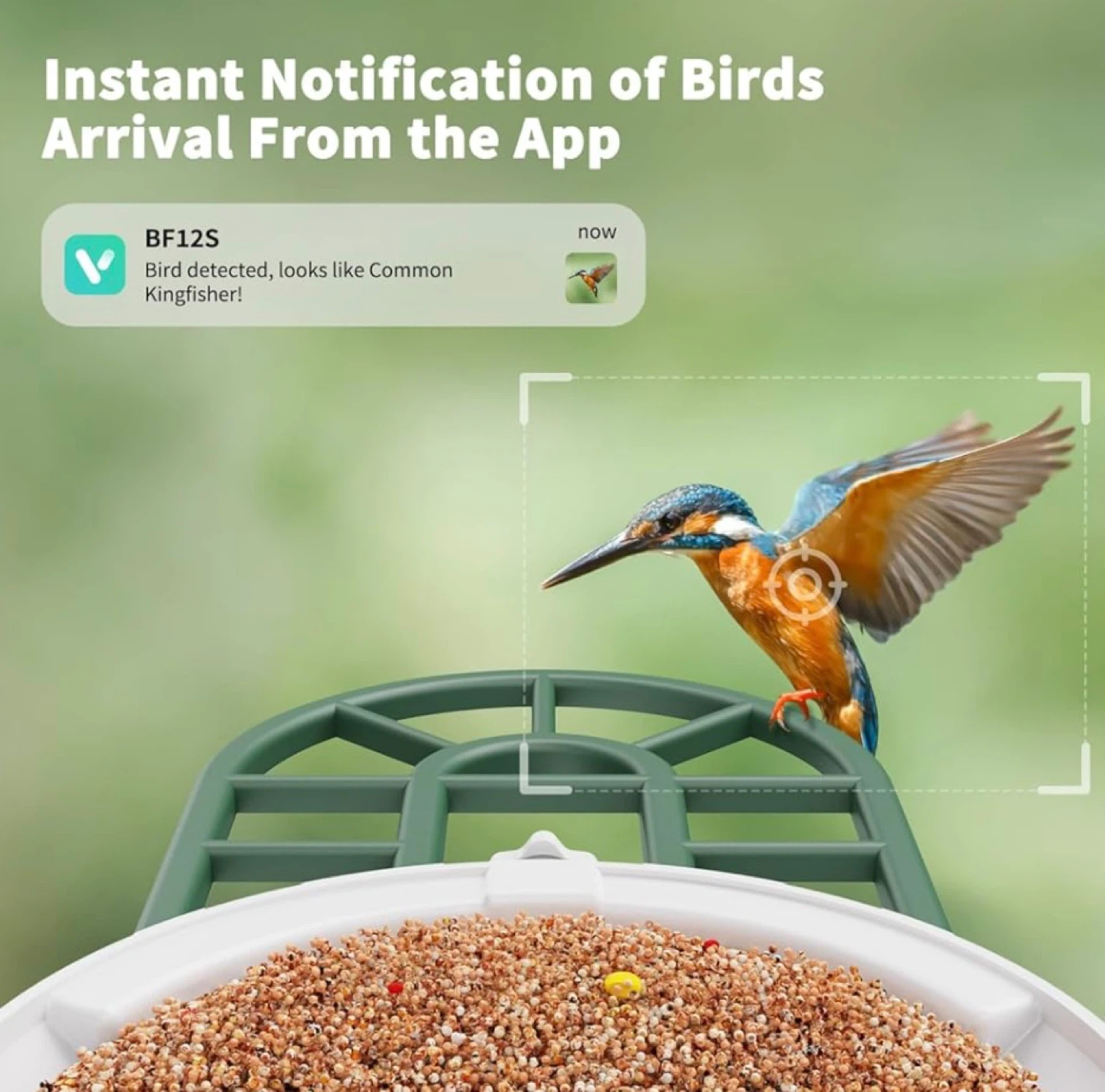 Smart Bird Feeder Camera with Solar Panel - photo 5