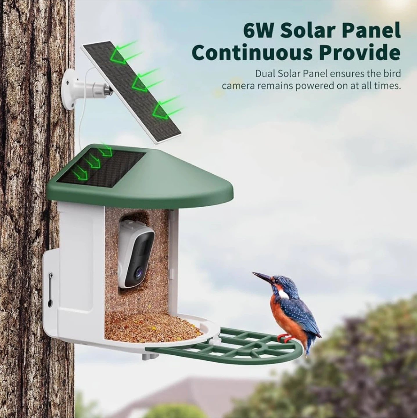 Smart Bird Feeder Camera with Solar Panel