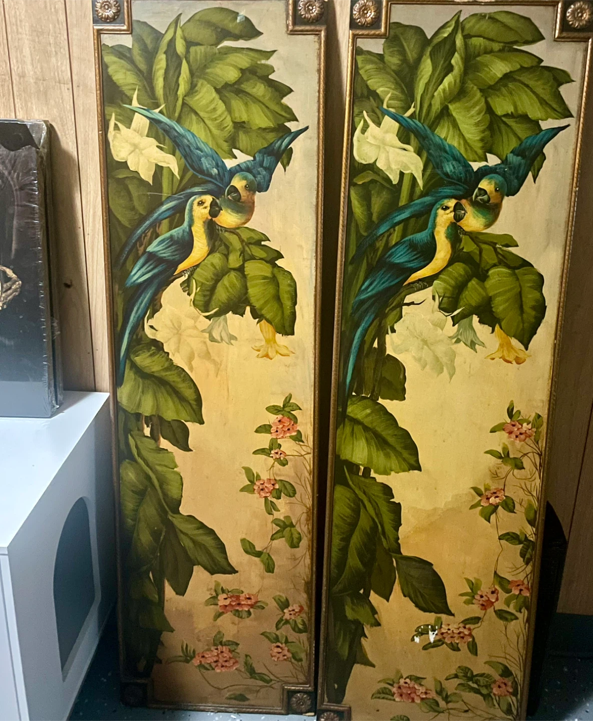 Vintage parrots paintings