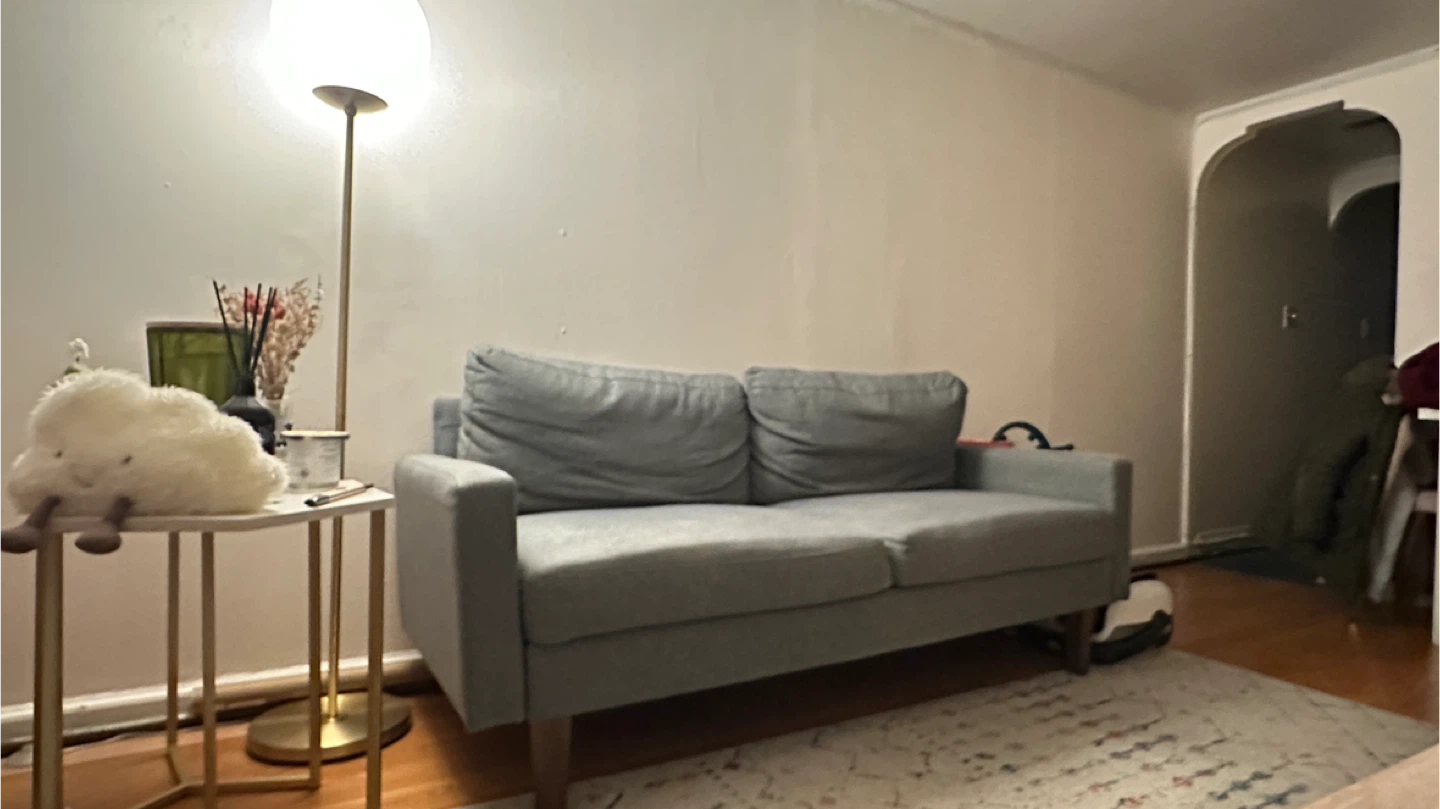 Gray Loveseat Sofa - photo 2