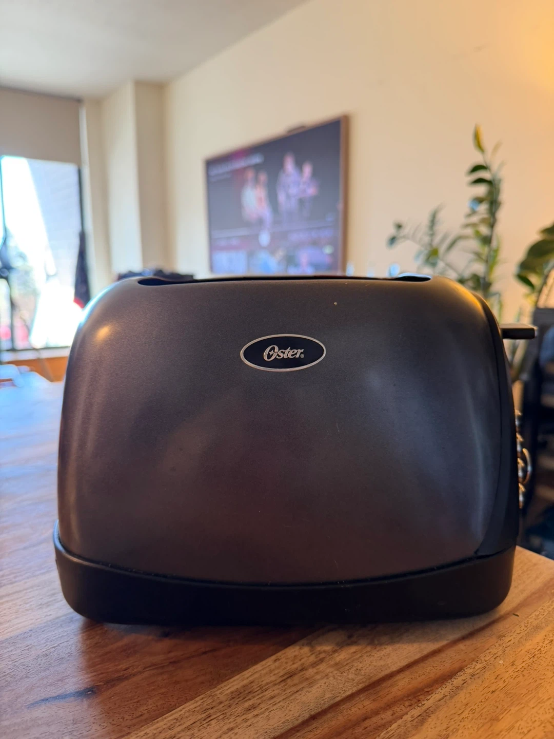 Oster 2-Slice Toaster - photo 3