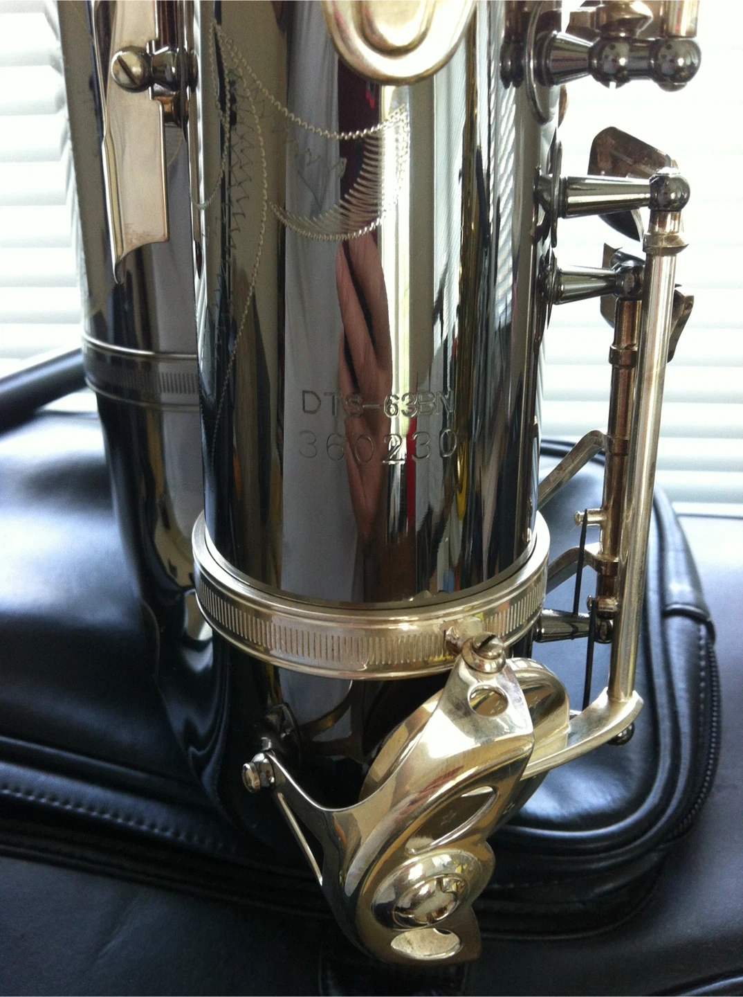 Dave guardala Saxophone DTS-6BN - photo 3