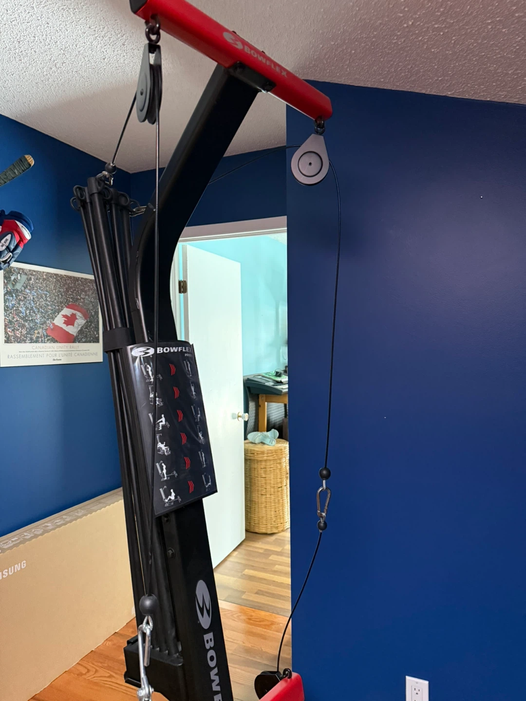 Bowflex PR1000 Home Gym - photo 3