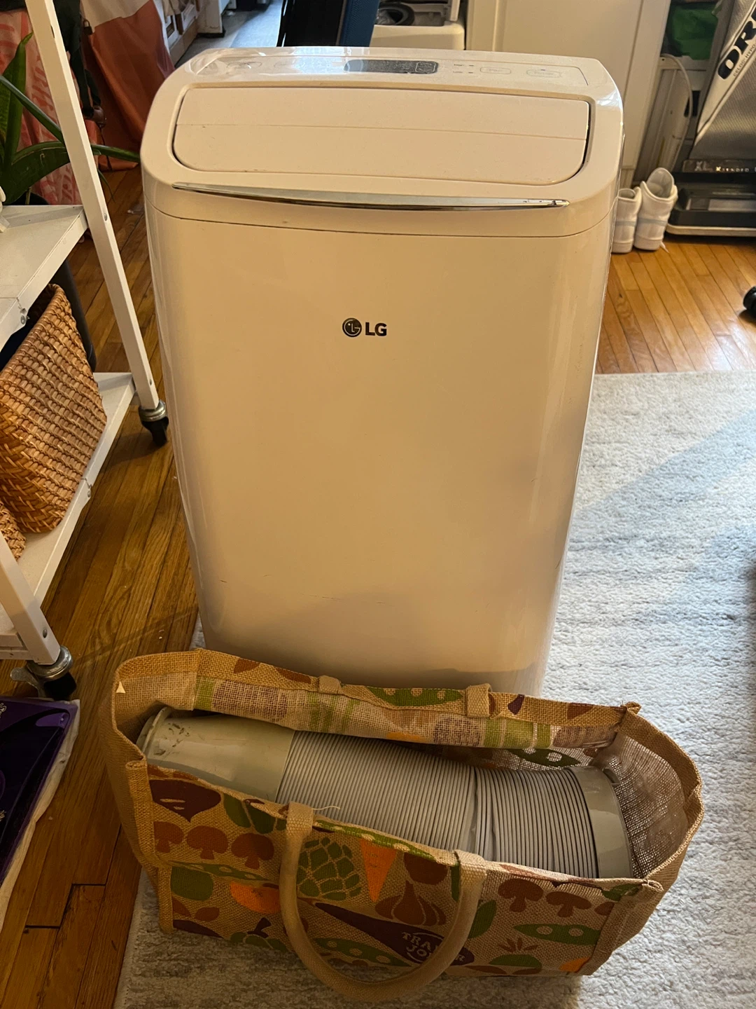 LG Portable Air Conditioner