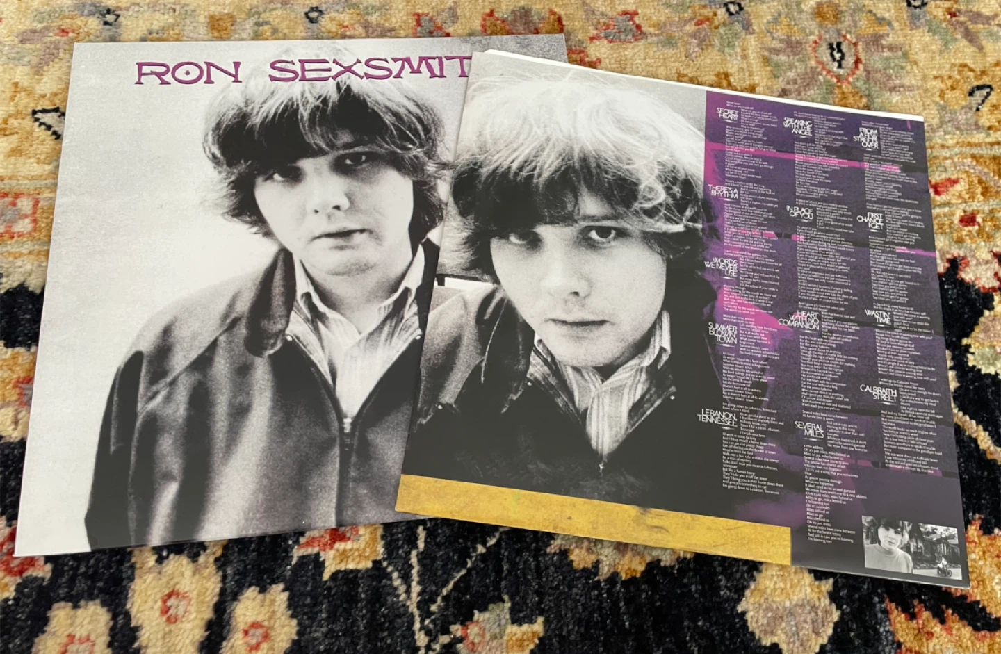 Ron Sexsmith LP *Mint Condition - photo 3