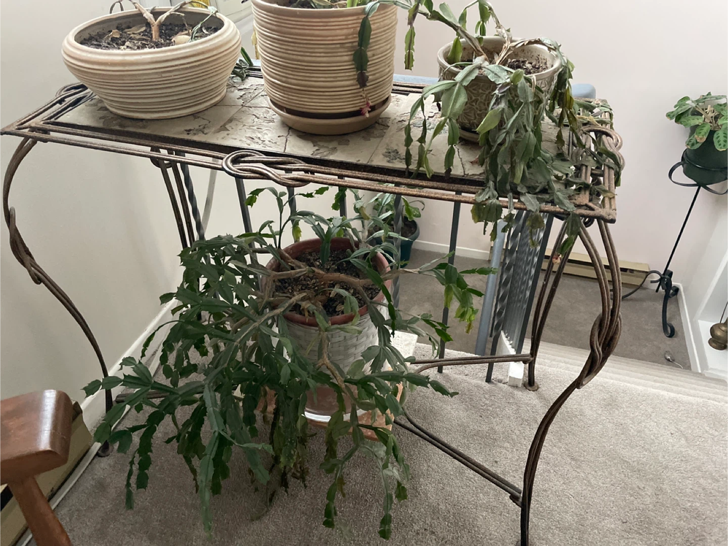 Ornate metal plant stand with decorative scrollwork