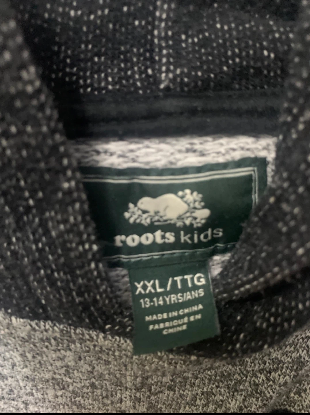 Roots Kids Hoodie 🥕 - photo 2