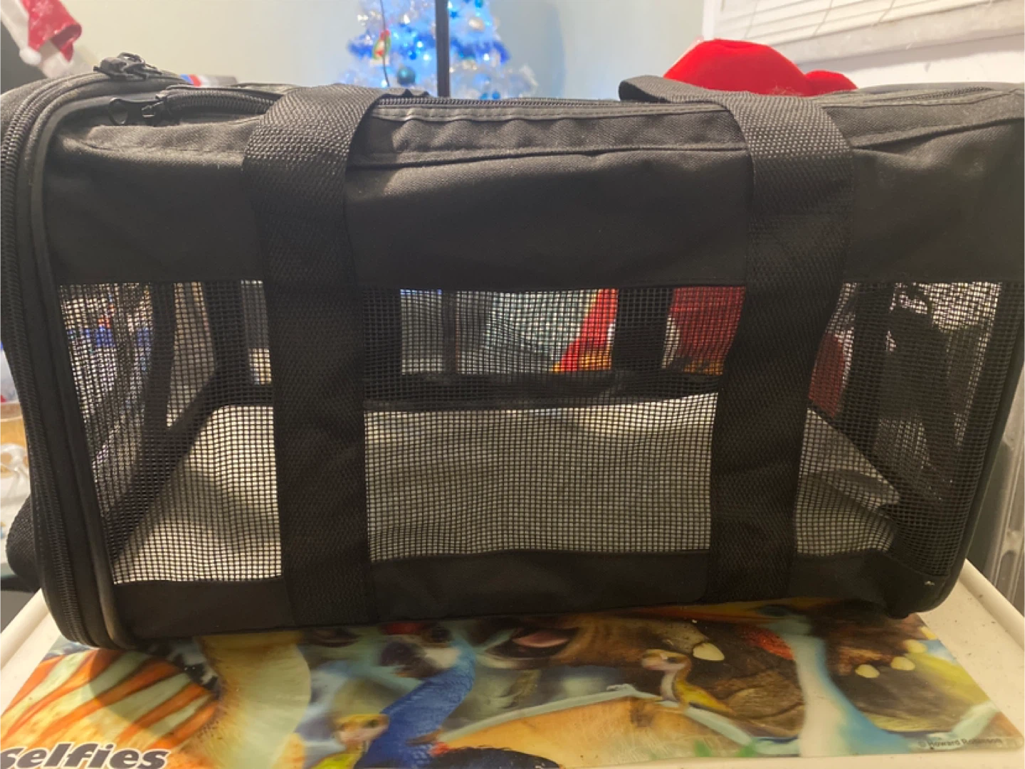 Black Pet Carrier Bag