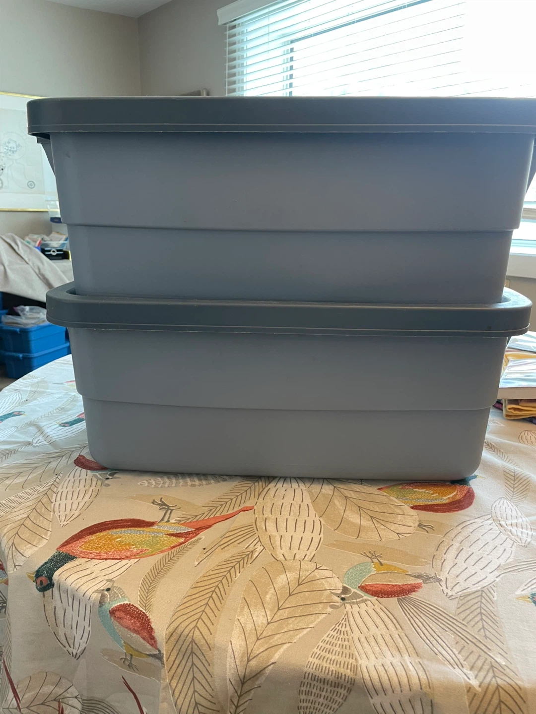 Rubbermaid Storage Totes 38 litre pair