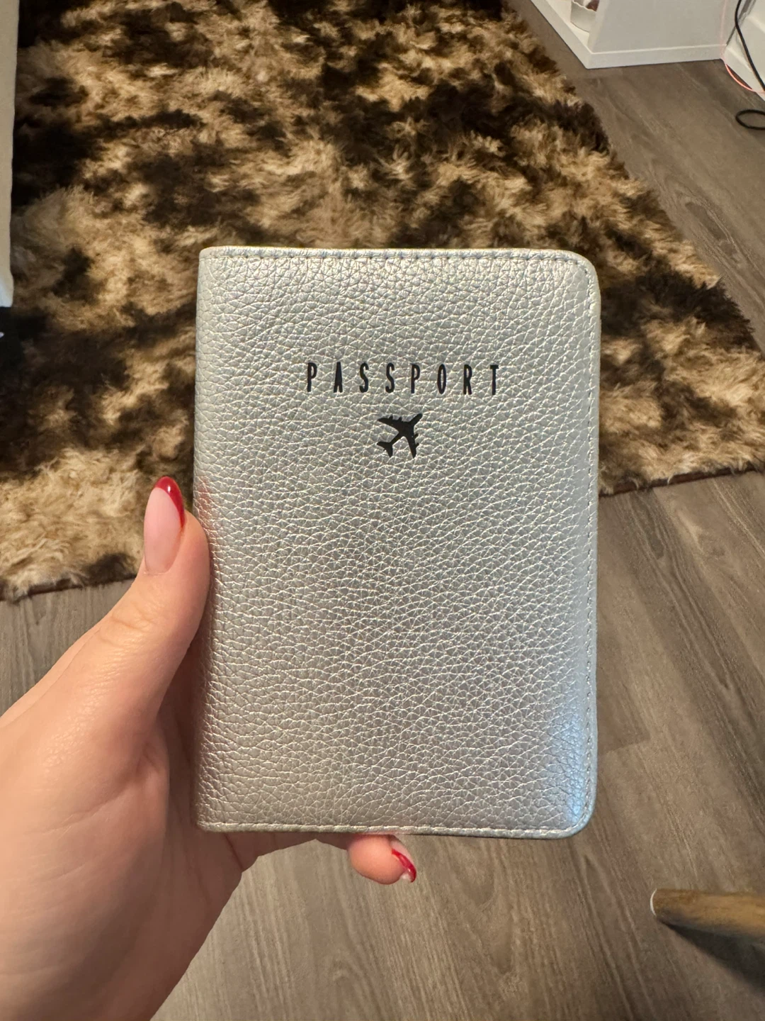 Aimee Kestenberg Silver Passport Holder