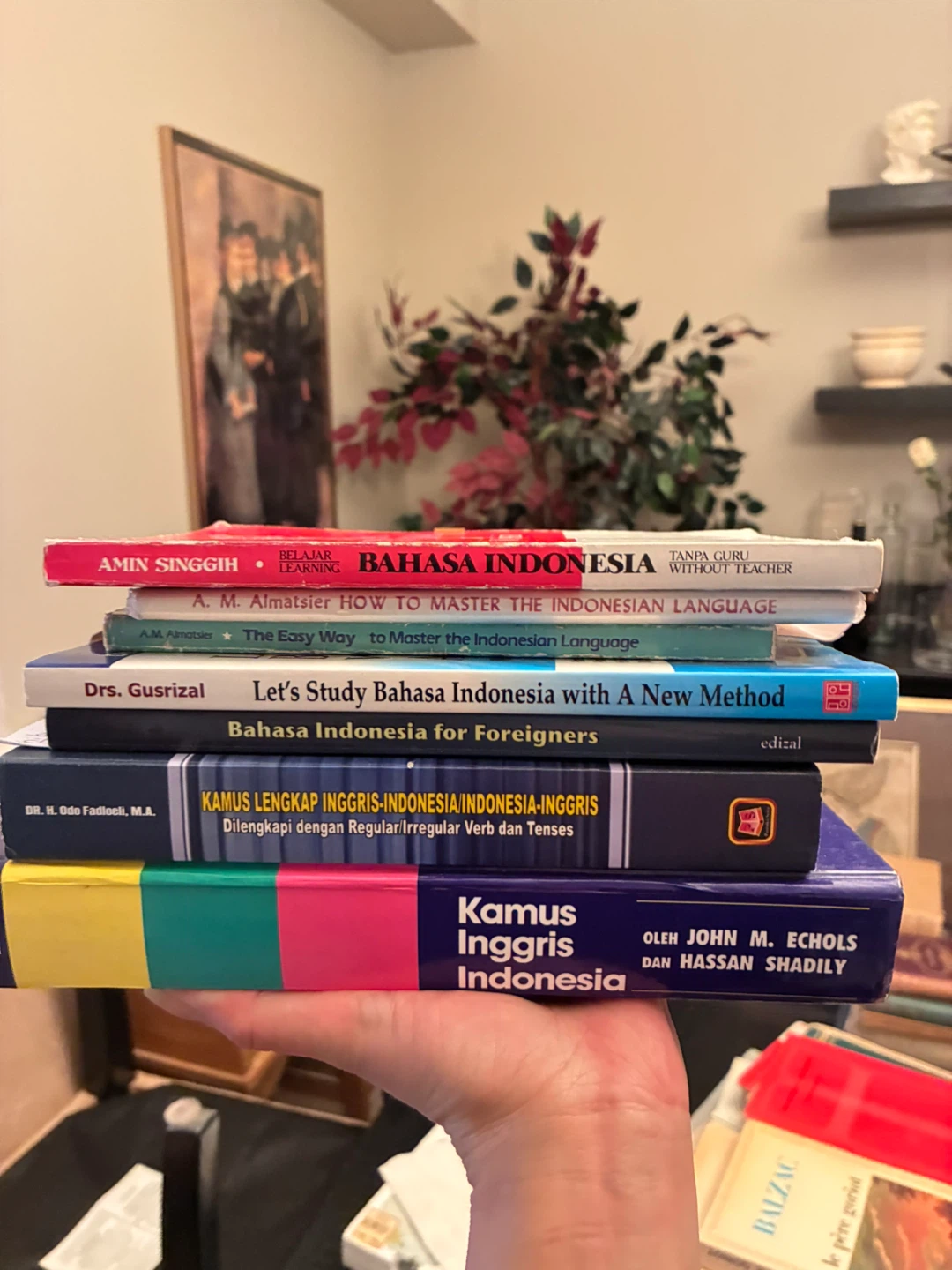 Assorted Bahasa Indonesia Learning Books
