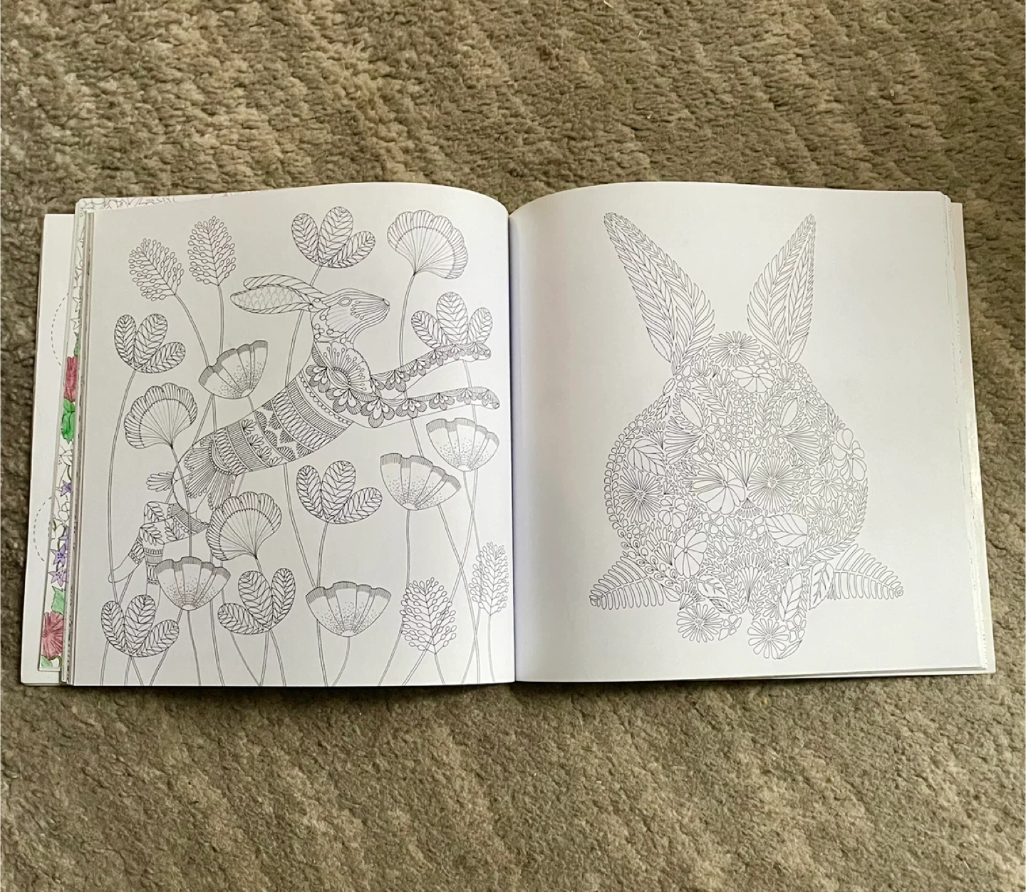 🥕Adult  Animal Kingdom Colour Me, Draw Me Coloring Book - photo 4