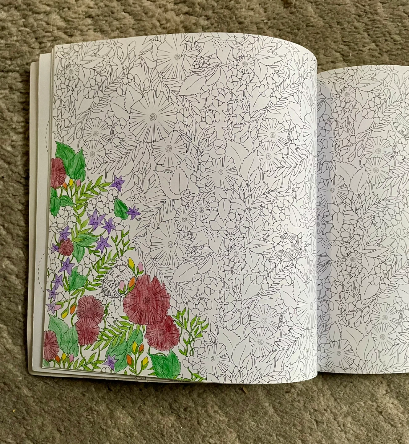 🥕Adult  Animal Kingdom Colour Me, Draw Me Coloring Book - photo 3