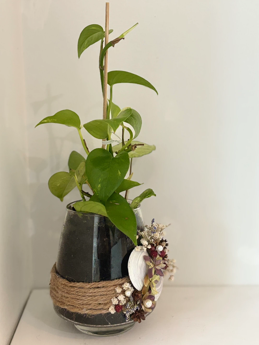 💓Pothos Plant in Decorative Glass Vase - photo 4