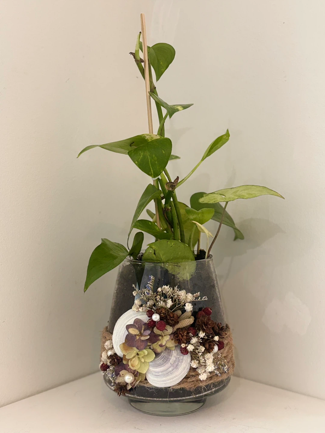 💓Pothos Plant in Decorative Glass Vase - photo 5