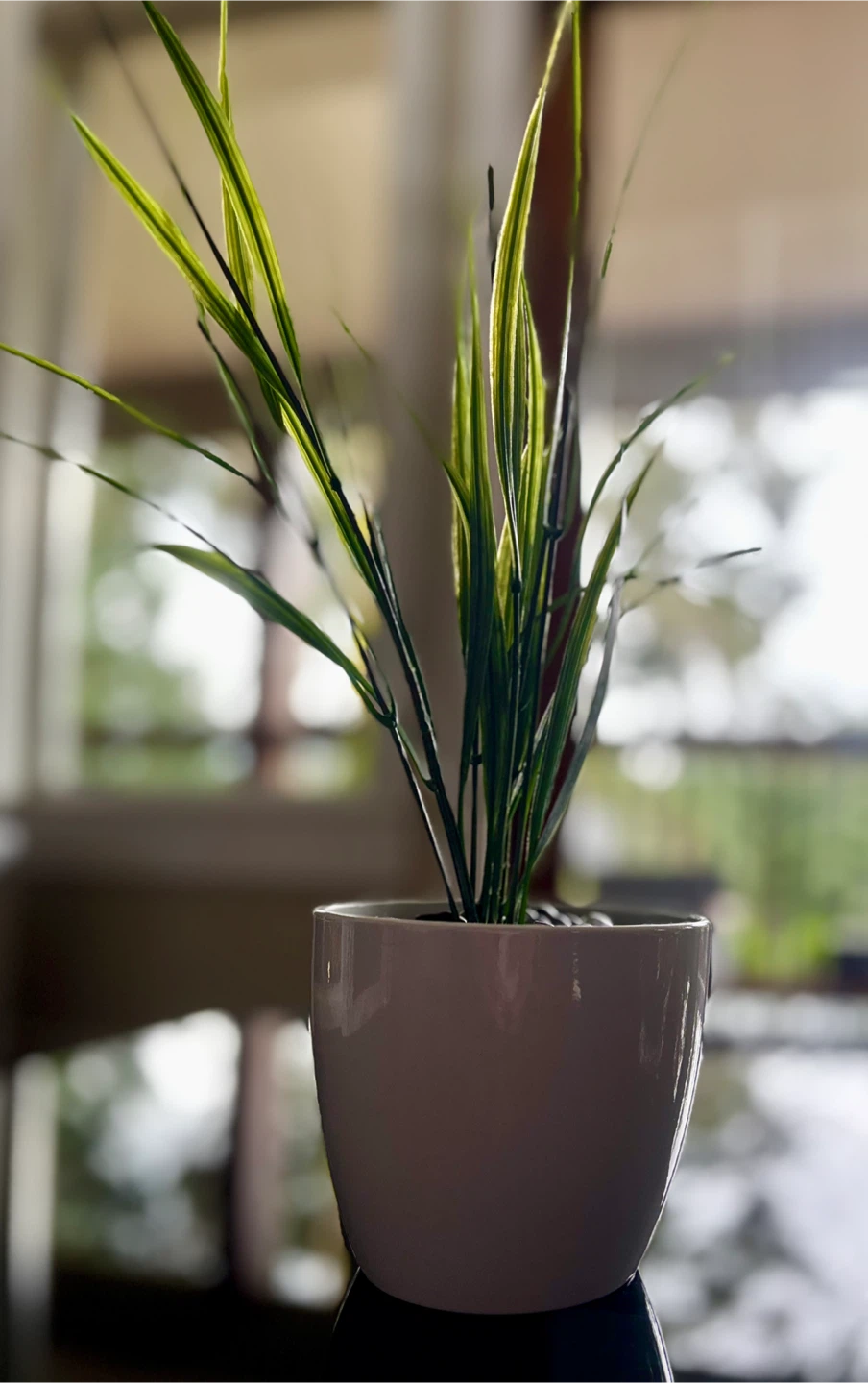 🥕 Artificial Plant in White Pot with Decorative Stones