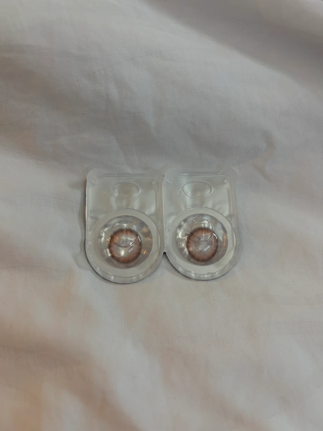Moody One Day Camellia Brown Coloured Contact Lenses - photo 2
