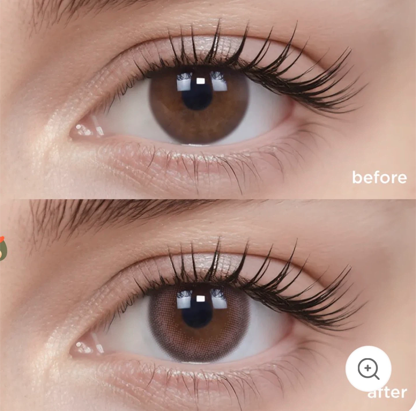 Moody One Day Camellia Brown Coloured Contact Lenses - photo 4