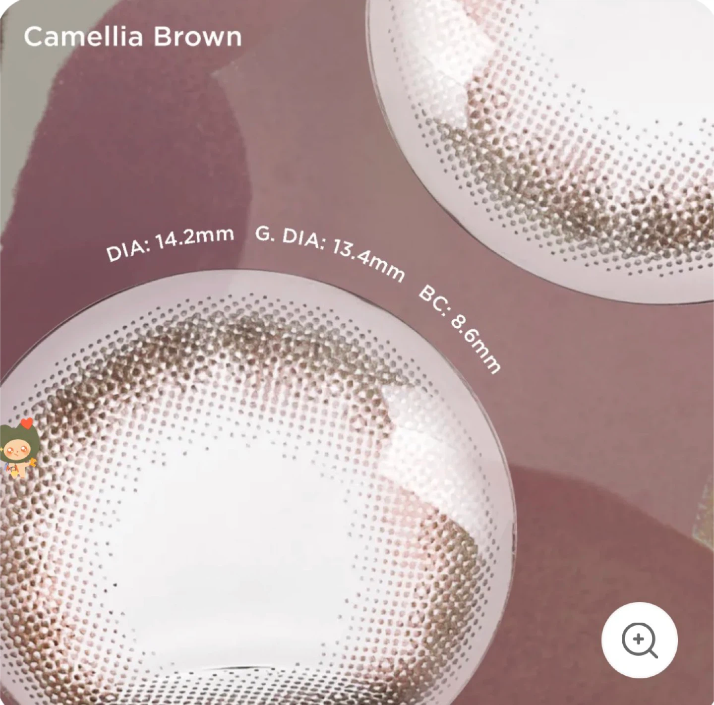 Moody One Day Camellia Brown Coloured Contact Lenses - photo 3