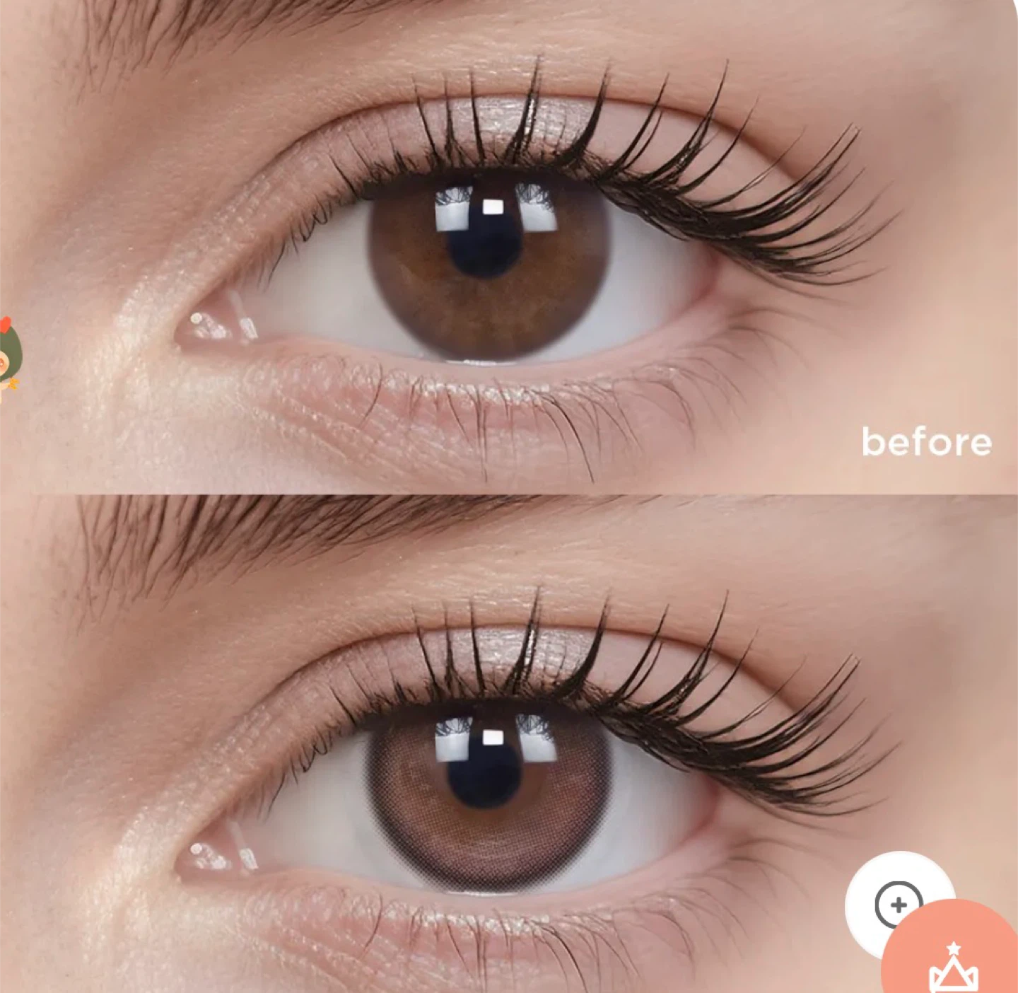DAILY Moody Menta Rose Contact Lenses - DIA 14.1mm - photo 4