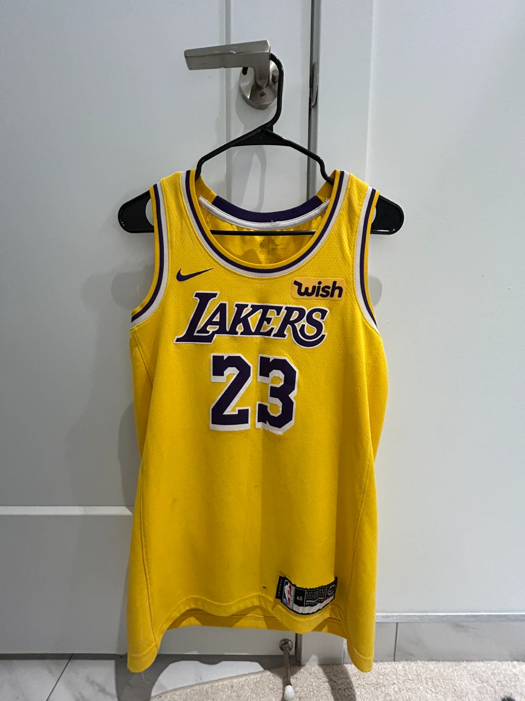 LeBron James Lakers 2019 Nike Jersey #23 🥕