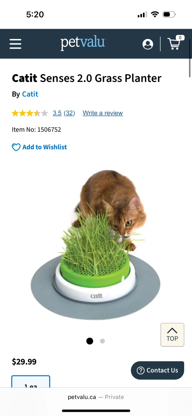 Catit Cat Grass Planter & Kit - photo 4