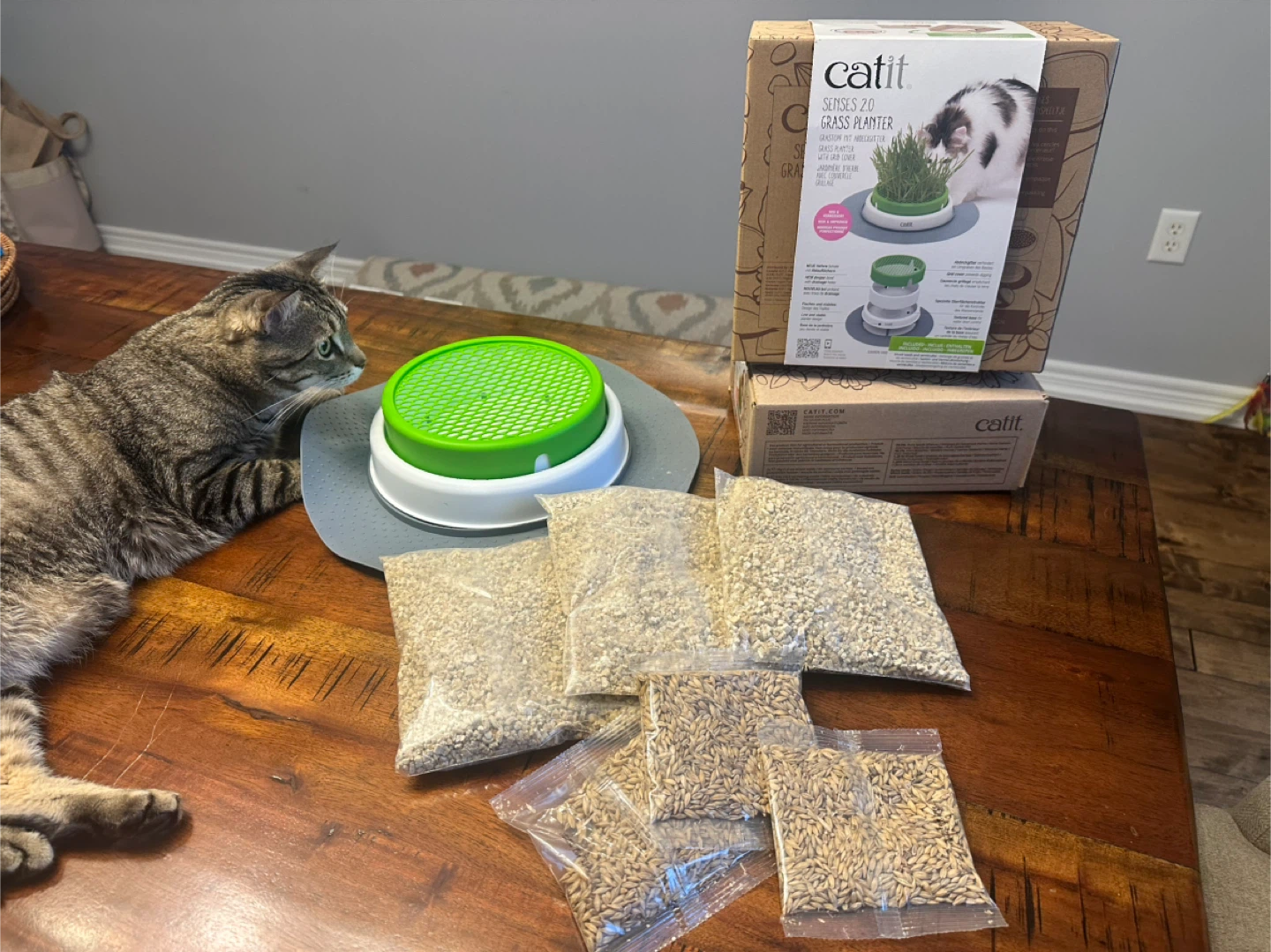 Catit Cat Grass Planter & Kit - photo 2