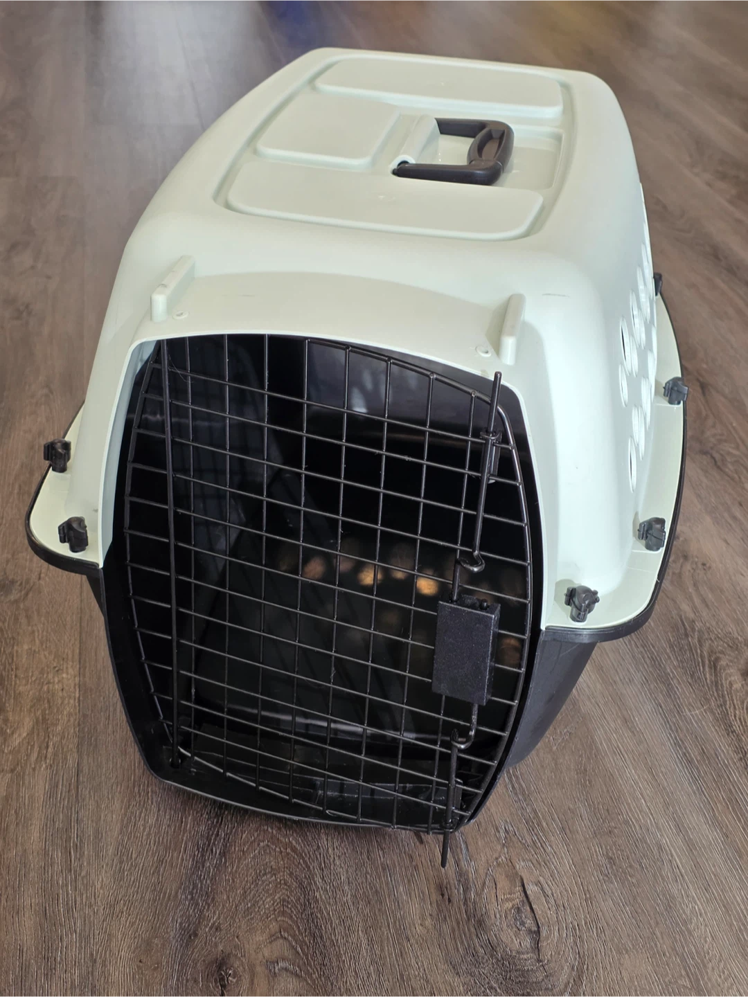 Petmate Pet Porter Dog Kennel Plastic Crate - photo 2