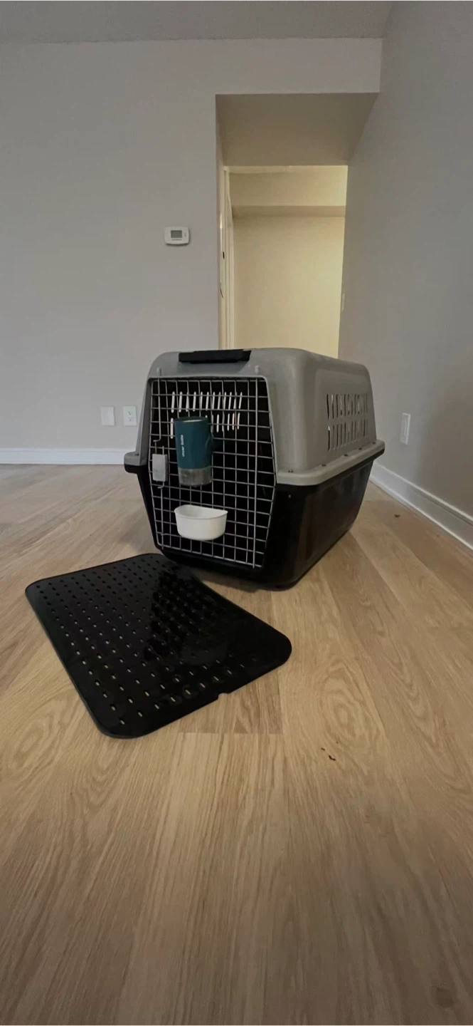 Airline Approved Pet Carrier with Water Bottle and Mat - photo 3