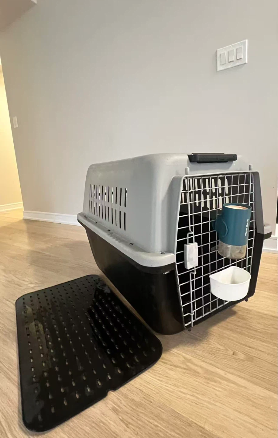 Airline Approved Pet Carrier with Water Bottle and Mat - photo 2