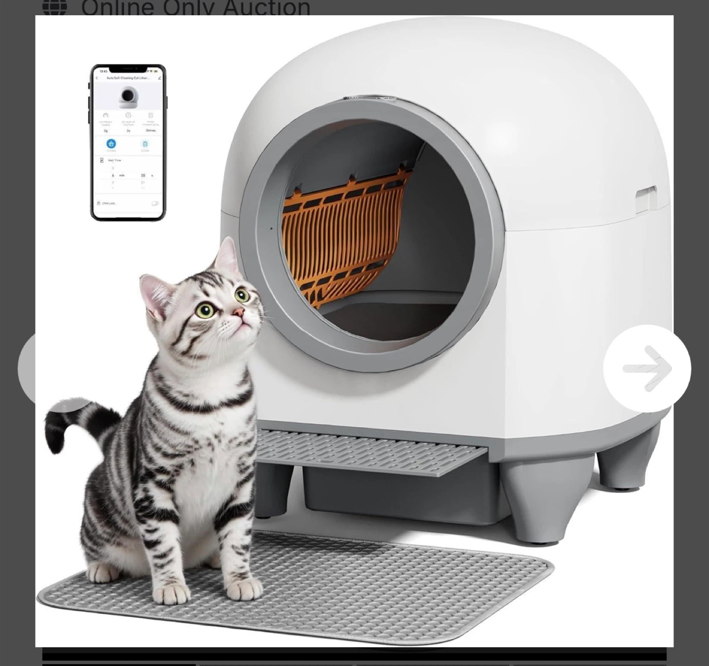 Self-Cleaning Cat Litter Box