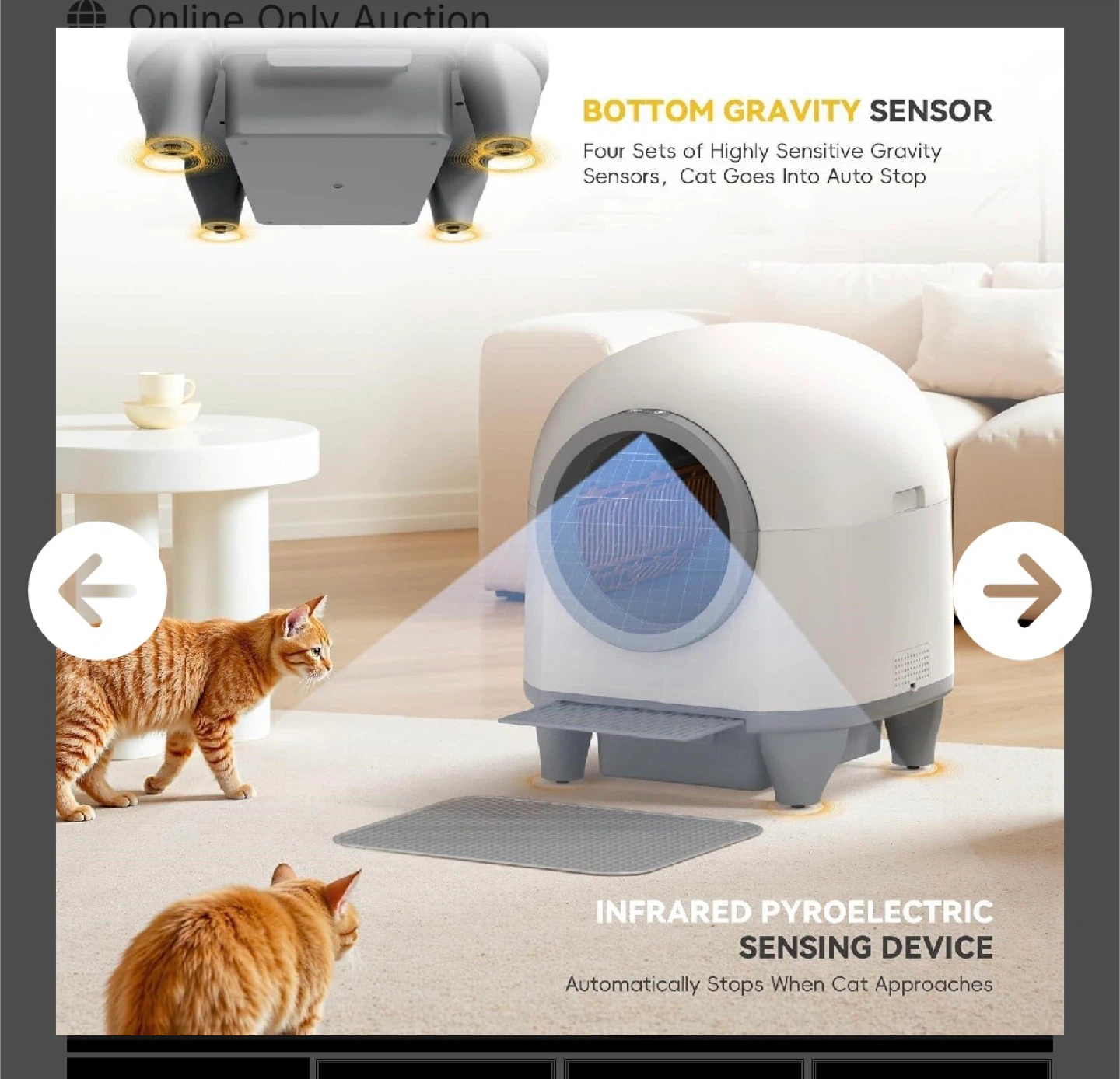 Self-Cleaning Cat Litter Box - photo 4