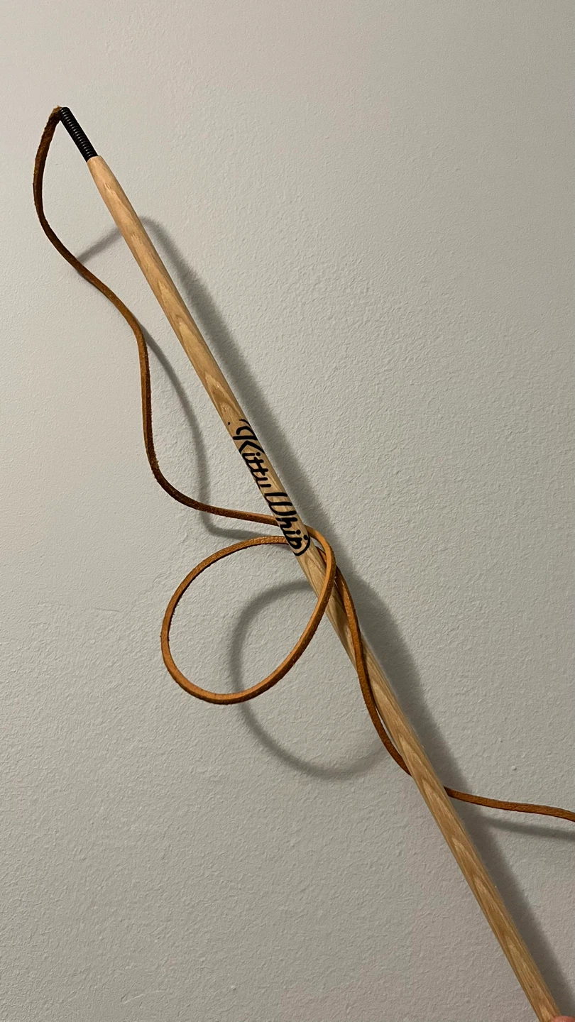 Kitty whip cat toy