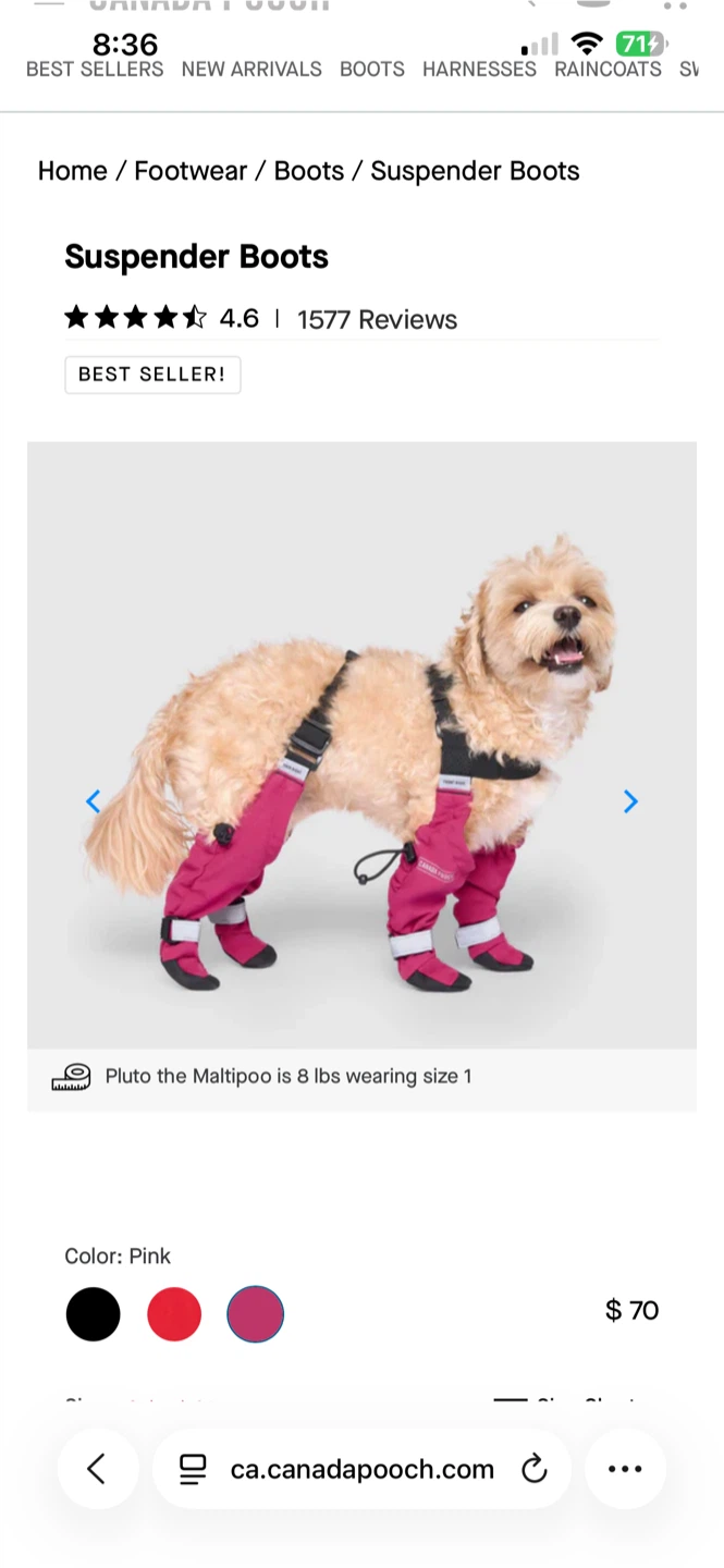 Canada Pooch Soft Shield Dog Boots - Pink - - photo 3