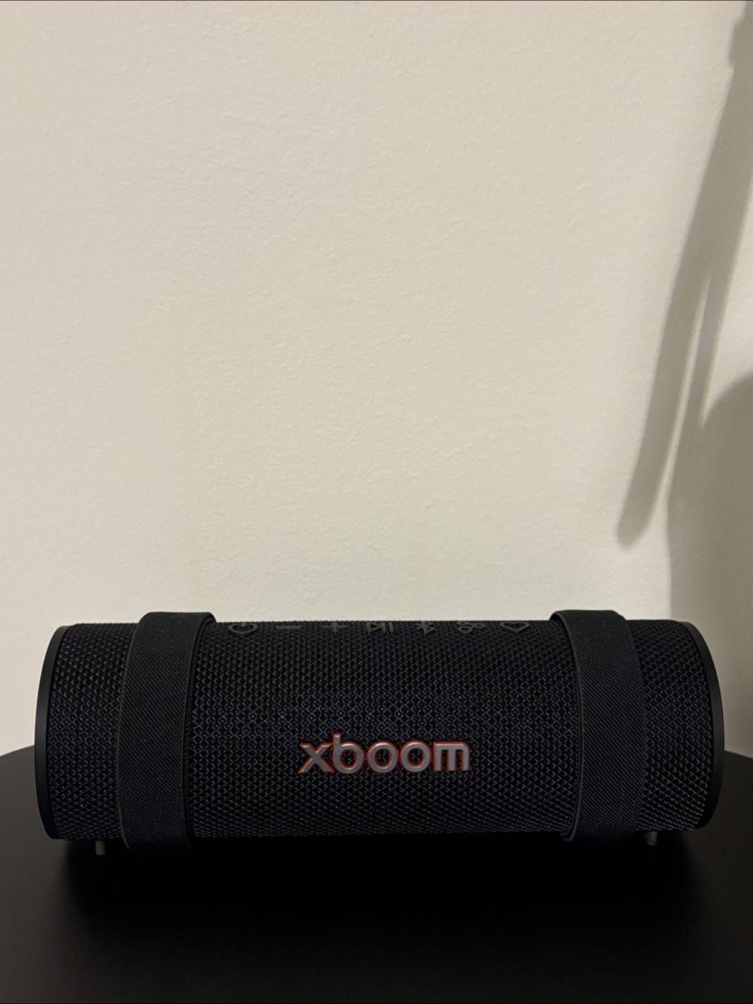LG XBOOM Grab Bluetooth Speaker