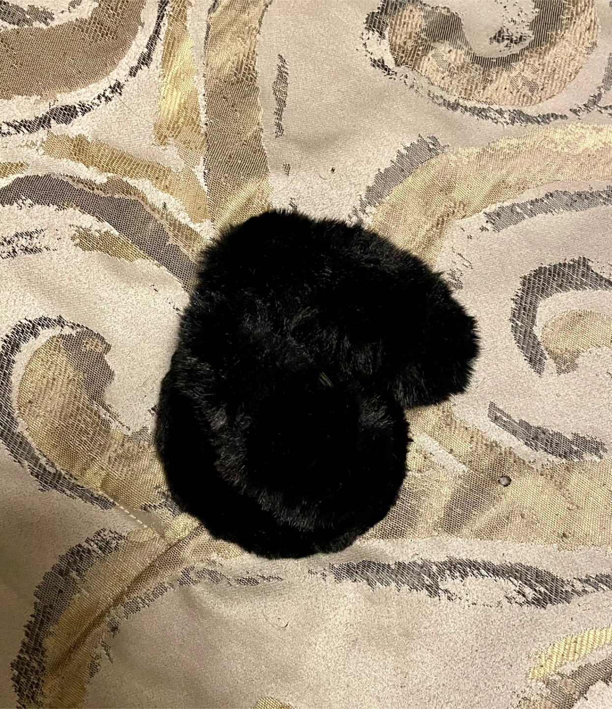 🥕Black Faux Fur Earmuffs - photo 4