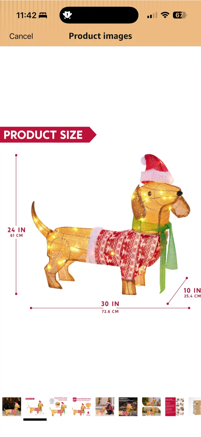 JOYIN Lighted Wiener Dog Christmas Decoration - photo 2