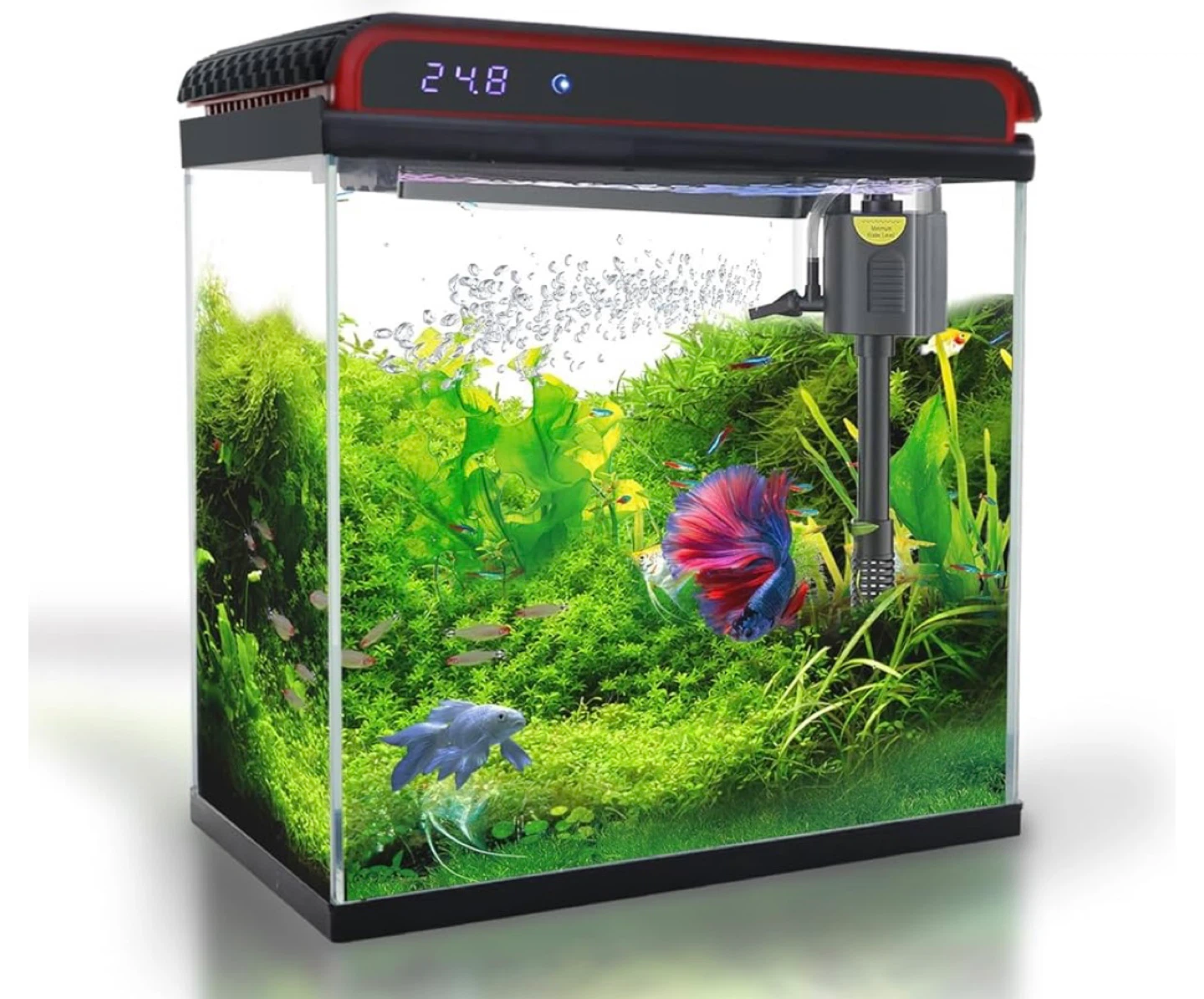 Aquarium Tank with Filter and LED Display